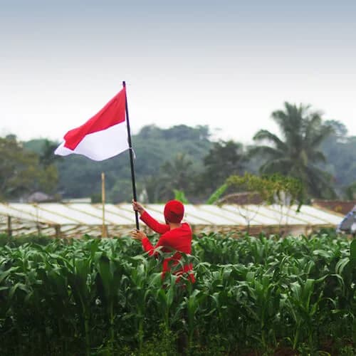 Indonesia solar scout