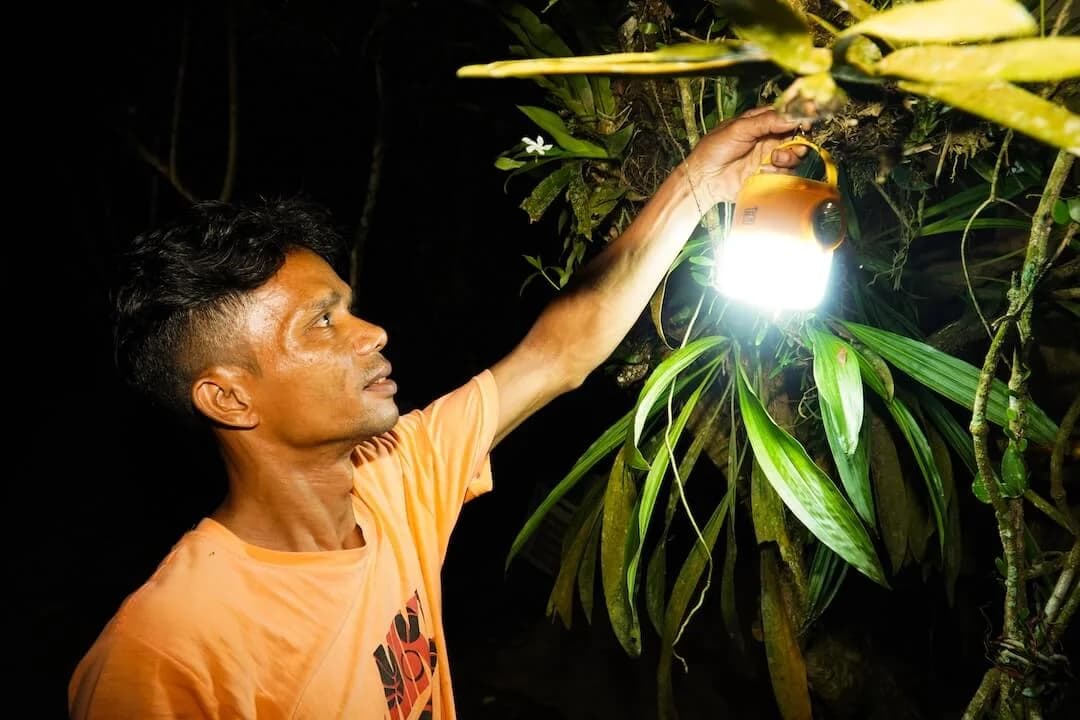 A man reaching up to a lit solar lantern hanging in a fruit tree at night