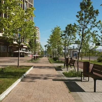 A tree-lined walking path through a park